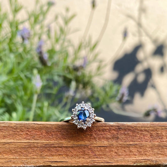 ANILLO RIGEL
