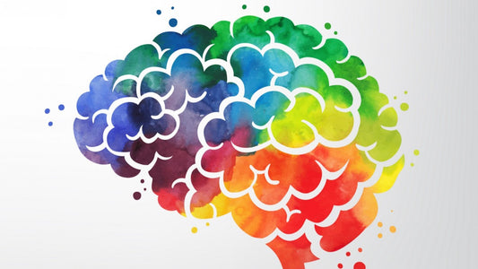 ¿Qué significado tienen los colores y cómo afectan nuestro día a día?