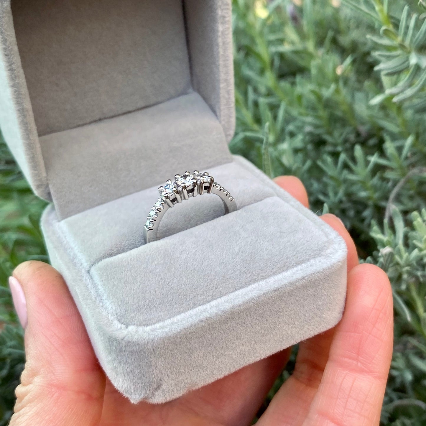 ANILLO ALHENA