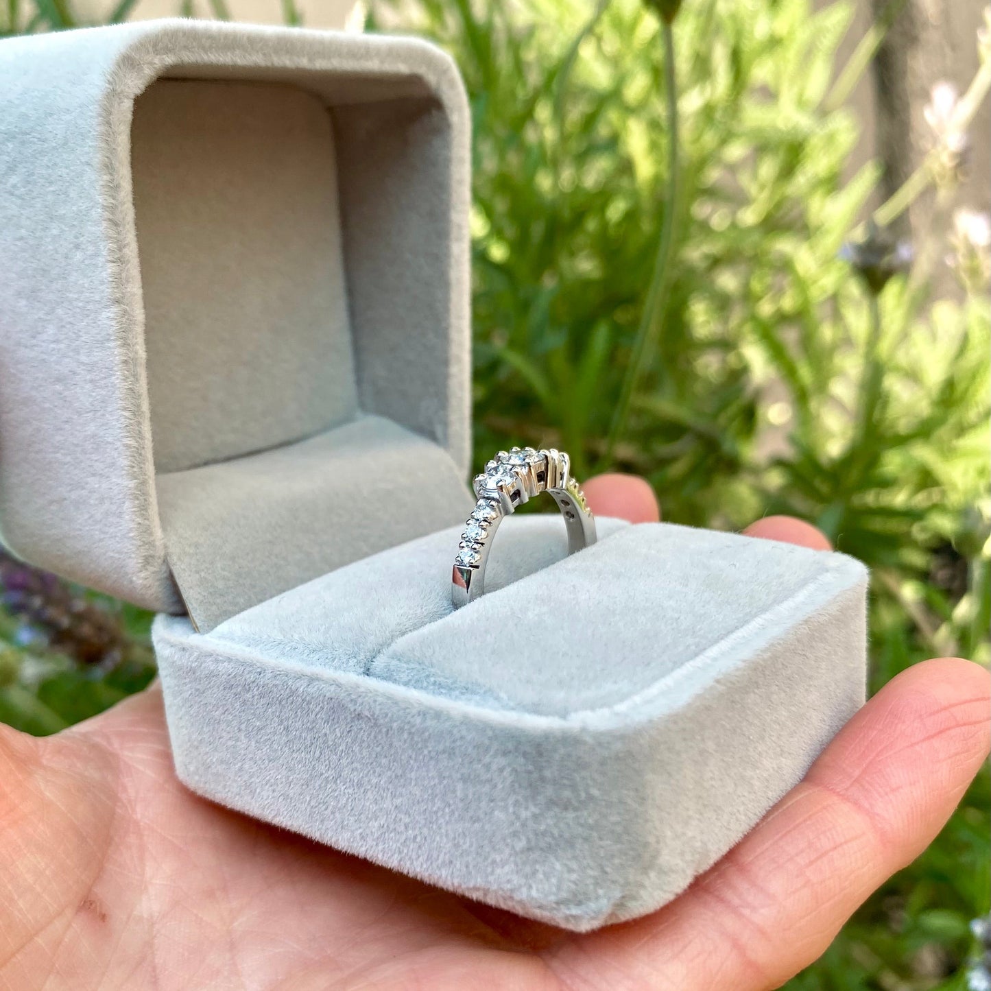 ANILLO ALHENA
