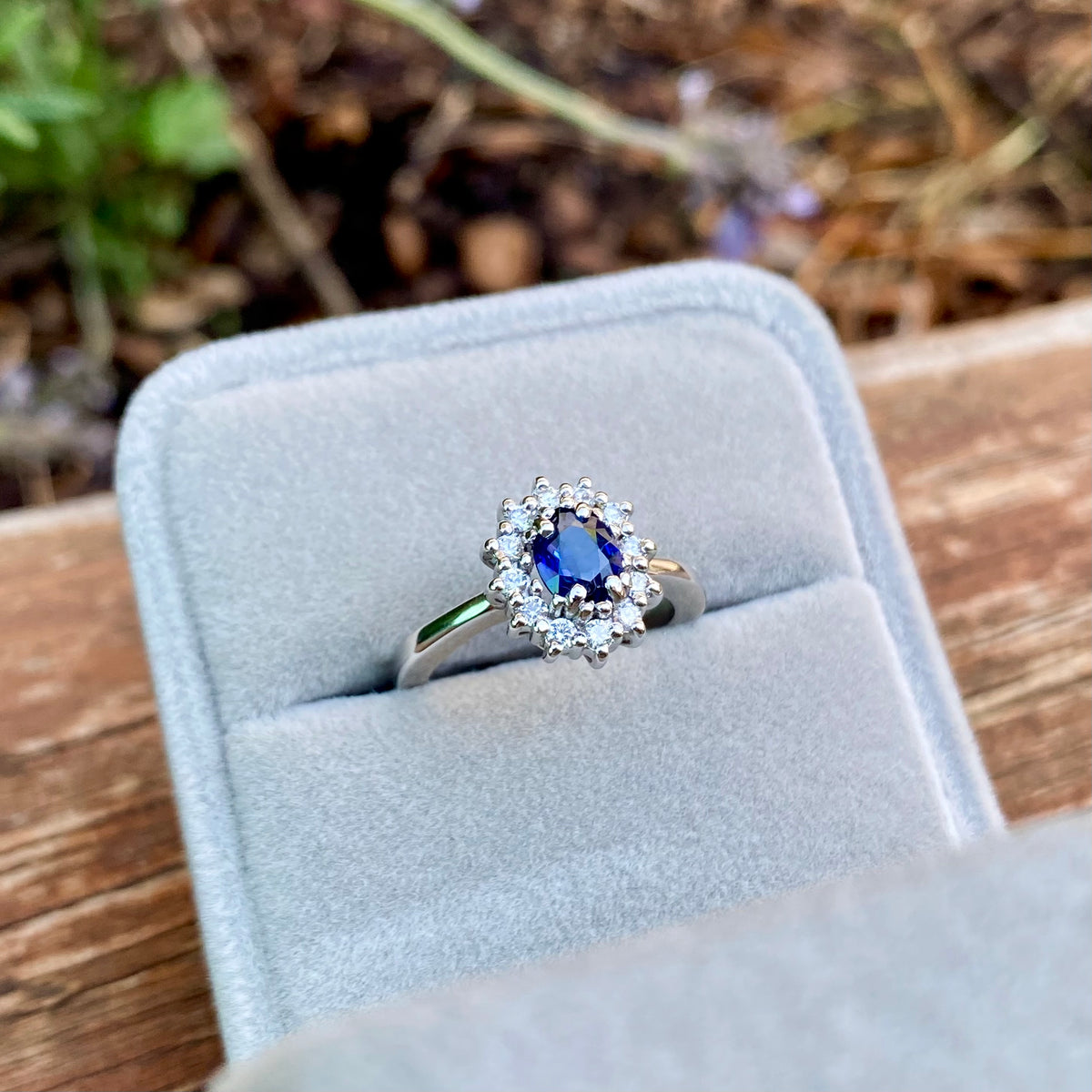 ANILLO RIGEL