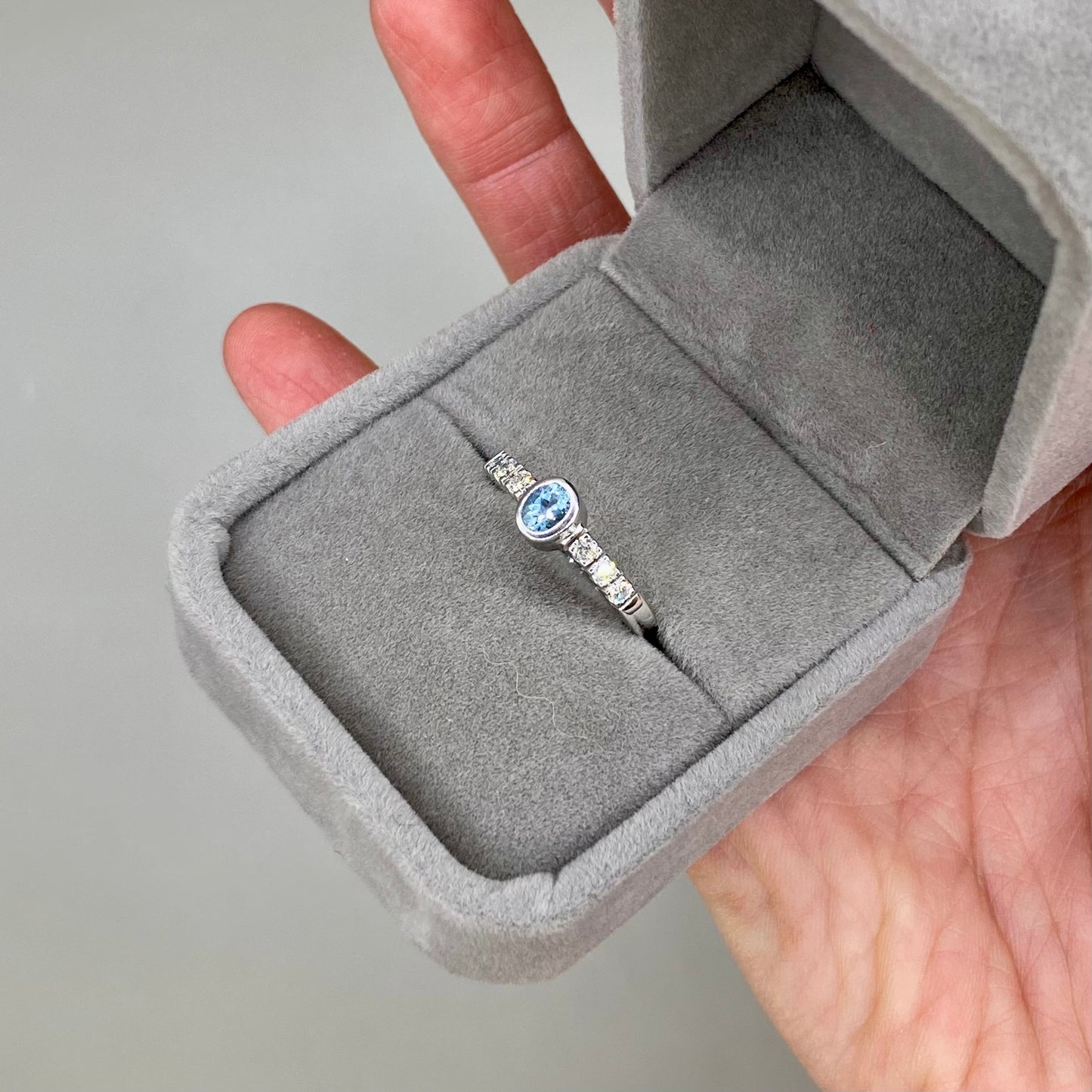 ANILLO VEGA