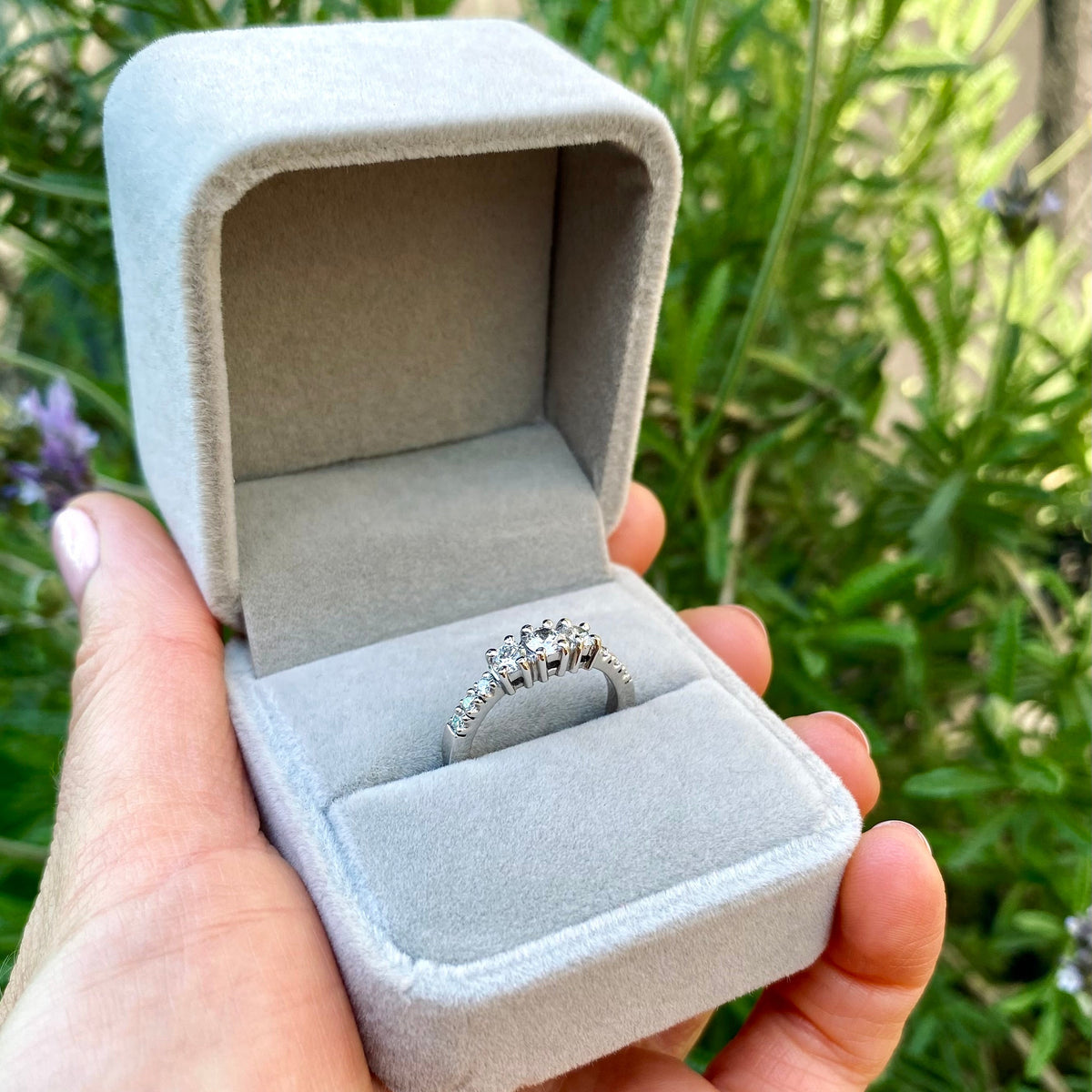 ANILLO ALHENA
