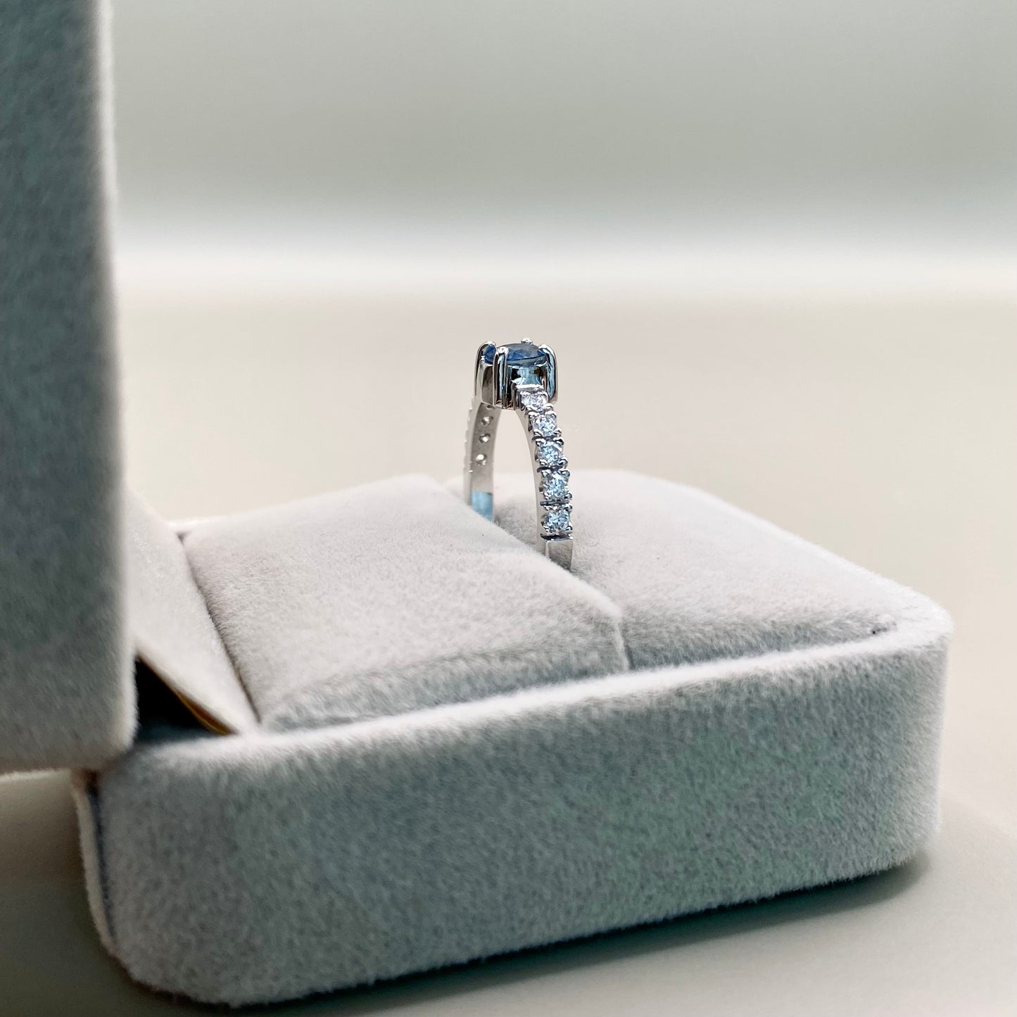 ANILLO POLARIS