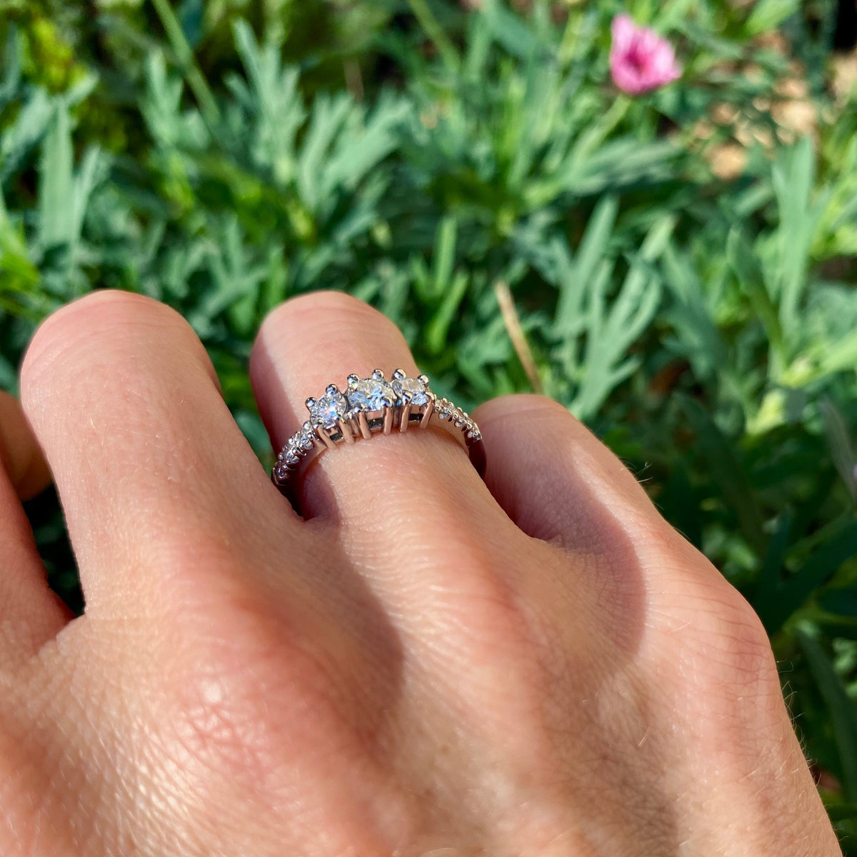 ANILLO ALHENA