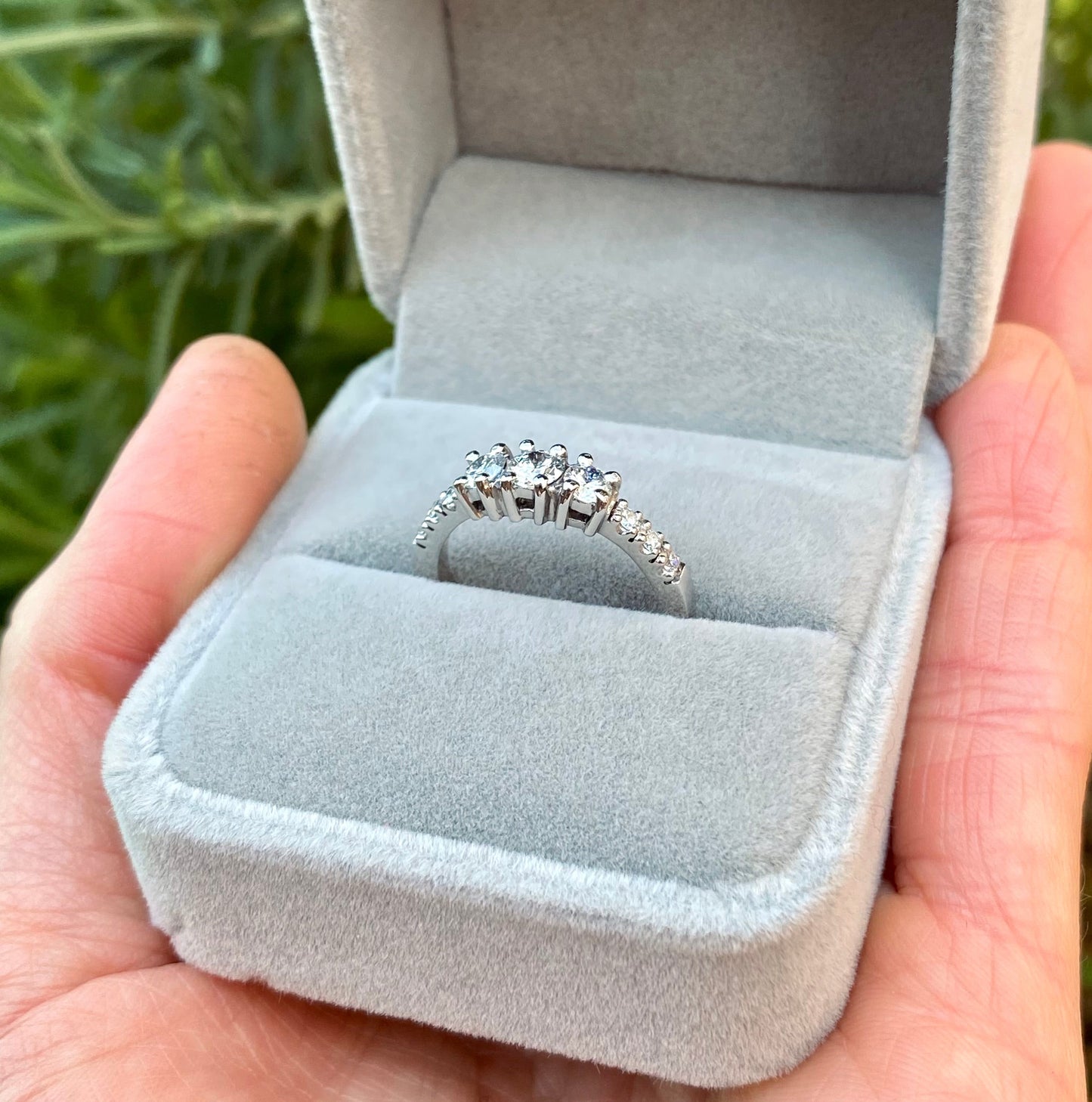 ANILLO ALHENA