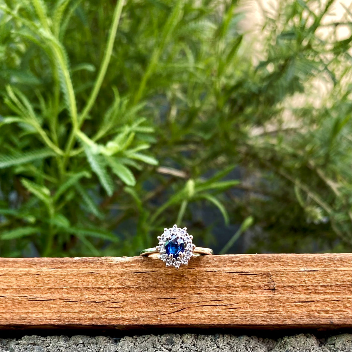ANILLO RIGEL
