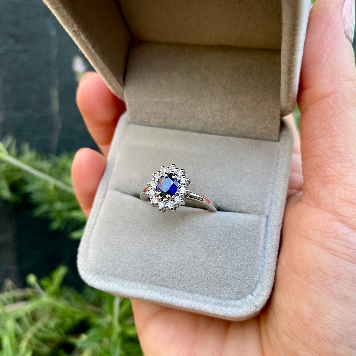 ANILLO RIGEL