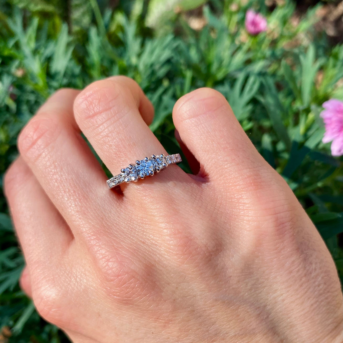 ANILLO ALHENA